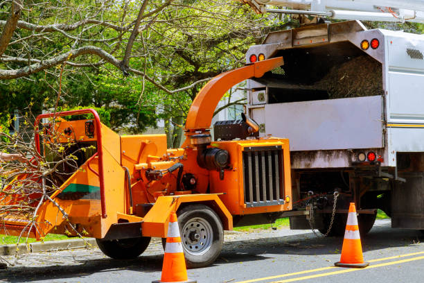 Best Tree Health Inspection  in Mcfarland, CA